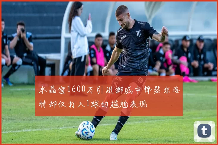 水晶宫1600万引进挪威中锋瑟尔洛特却仅打入1球的尴尬表现
